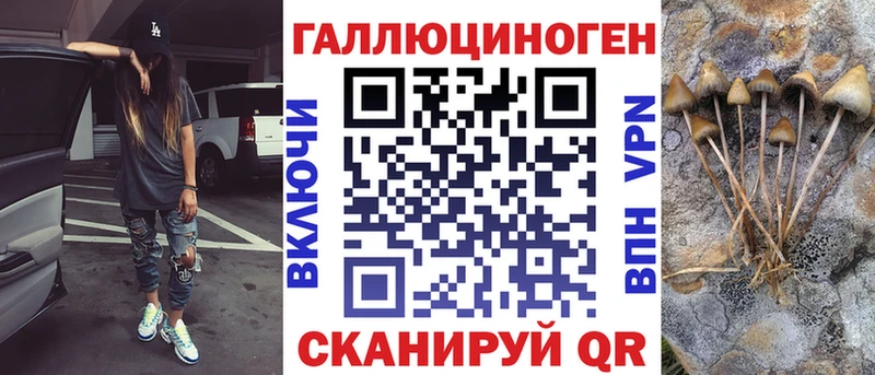 даркнет сайт  Тара  Галлюциногенные грибы Psilocybe 